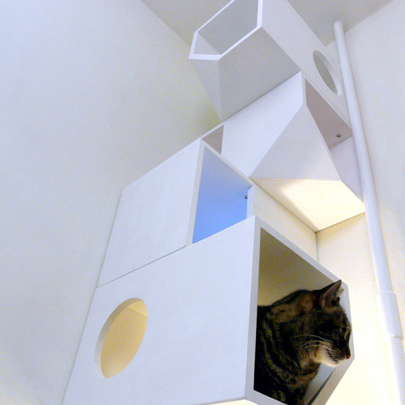 Catissa – modular house for cats – Mojorno